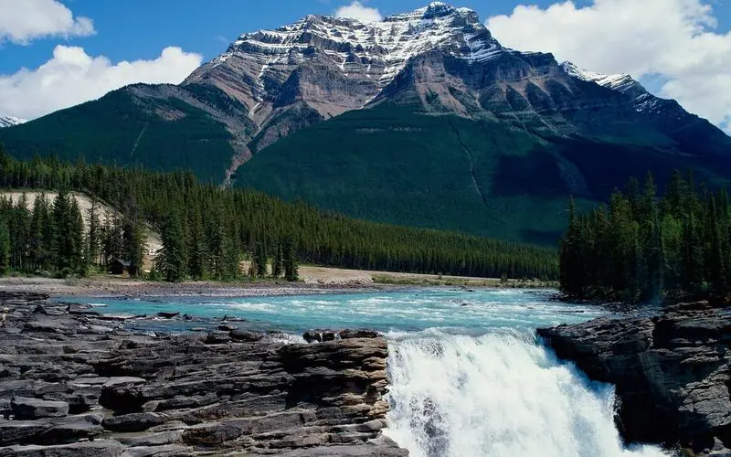 环保无人化